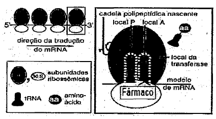 Enunciado 4473140-1