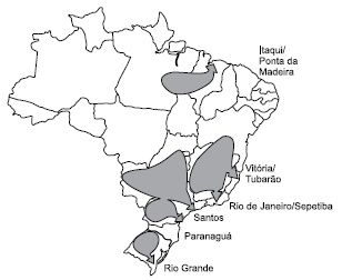 Enunciado 1935220-1