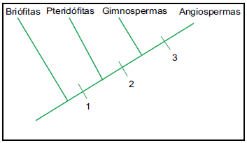 Enunciado 4650573-1